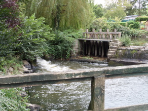 pto Moulin Rimou
